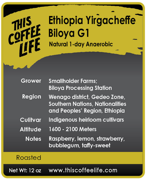 Ethiopia Yirgacheffe Biloya G1 Natural 1-Day Anaerobic